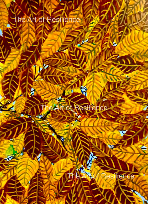 AA03 - Autumn leaves v2 [RC 2024] Completed in hospital. Acrylic pens.