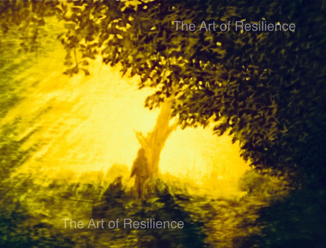H02 - Early morning dog walk [HC 1990] emerging out of the woods. Watercolour pencils